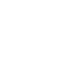 Burn Pengu Logo
